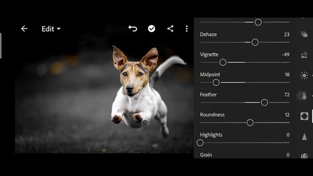||DOG PHOTO EDITING BY LIGHTROOM MUST WATCH ?|| смотреть онлайн