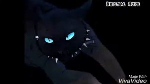 Коты Воители-Бич и Кровоцапка ||Bad Boy||