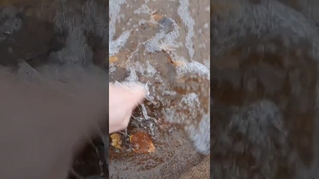 что можно найти на пляже с металлоискателем за 2 часа смотреть онлайн