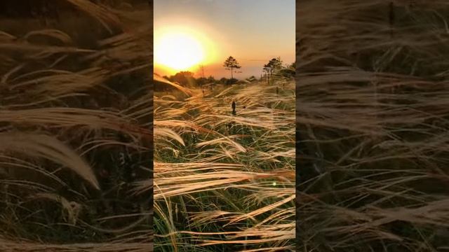 1000025821.mp4 смотреть онлайн