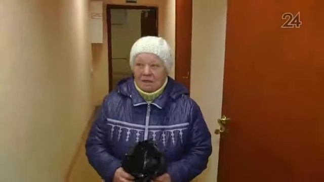 В Казани в подвале дома №41 по улице Закиева замуровали щенят смотреть онлайн