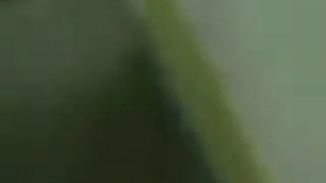 укладка демпферной ленты САНПОЛ 8мм.AVI смотреть онлайн