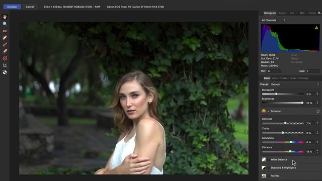 How to Edit RAW Photos in Affinity Photo | Develop Persona for Beginners смотреть онлайн
