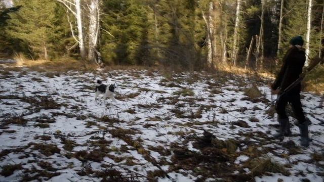 РЕЛ Арга и Бойка прогулка по лесу. смотреть онлайн