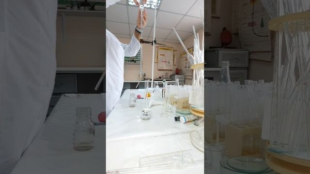 Стандартизация раствора натрия тиосульфата по калия дихромату смотреть онлайн