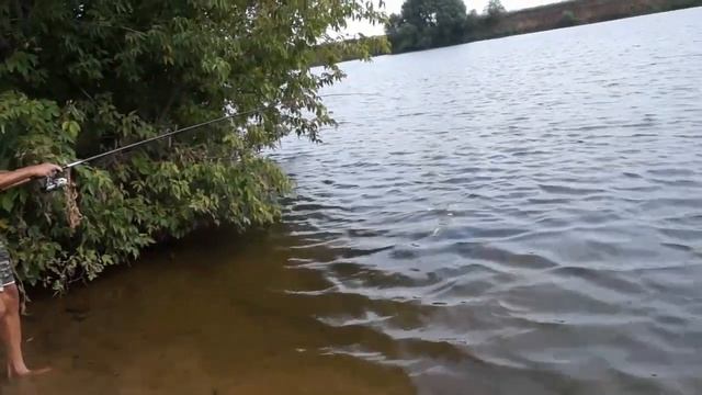 Фидер на Москва реке 14 лещей и 1 сом смотреть онлайн