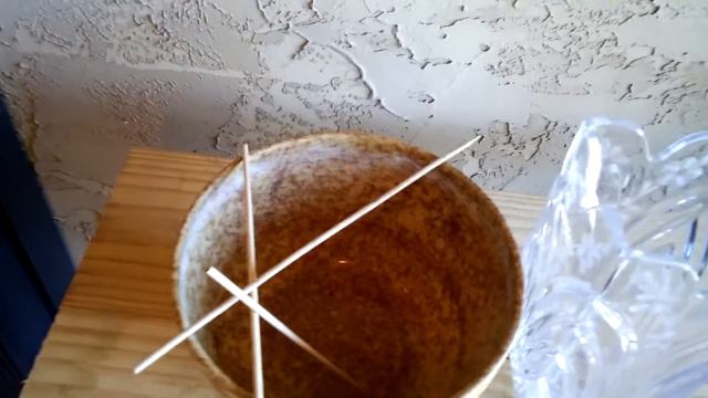 CATTLEYA · Water Culture Update смотреть онлайн