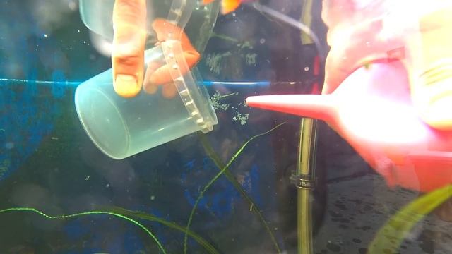 Загадка с подвохом. Кто это сделал? смотреть онлайн