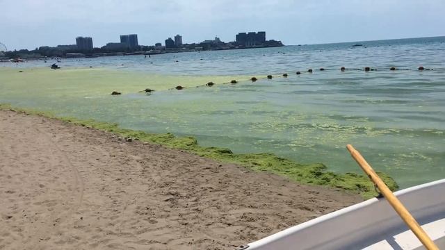 Анапа. Море цветет. смотреть онлайн