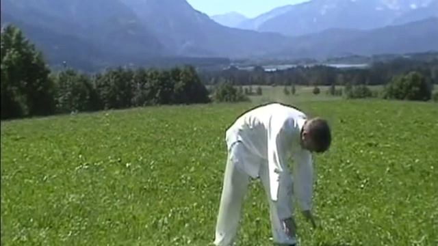 Qigong Qi gong 18 Figuren der Harmonie, Shibashi, Die 18 Übungen Taiji Qigong,18 Step Taiji Qigong смотреть онлайн