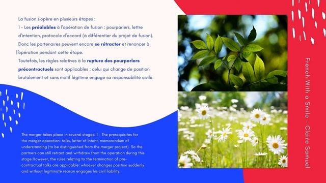 Advanced #28 - Legal French Les fusions entre entreprises Part 1 смотреть онлайн