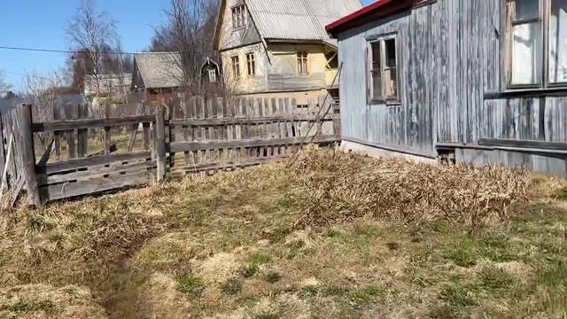 754/ Приехала на дачу. Всё разваливается. смотреть онлайн