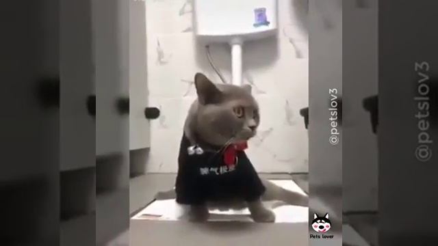 Смешо? смотреть онлайн