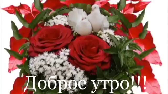 10 ноября 2018 г. смотреть онлайн