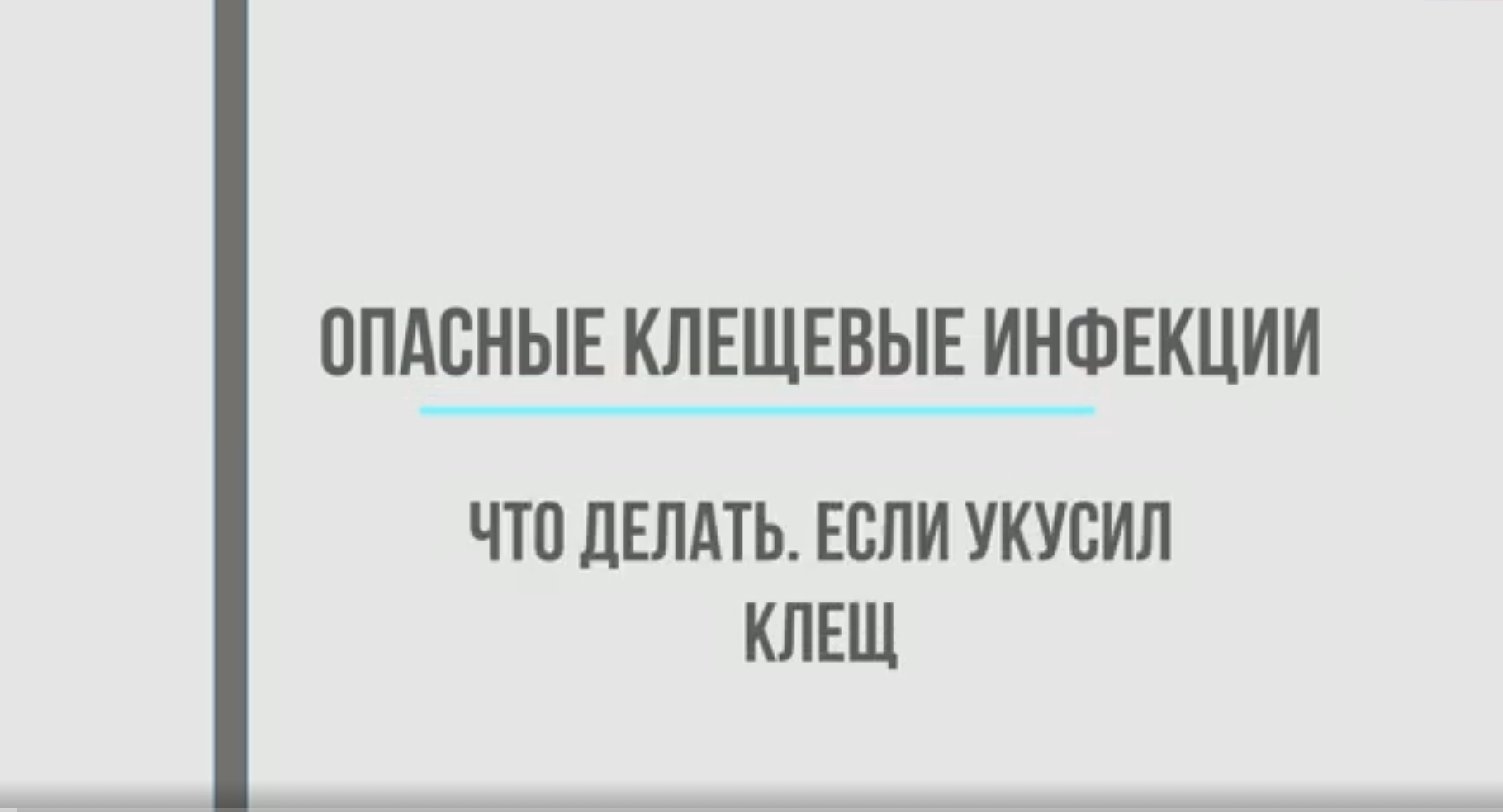 Опасные клещевые инфекции. Что делать если укусил клещ