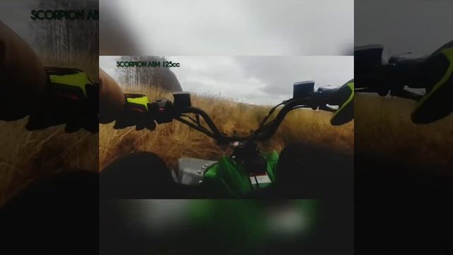 ПОКАТУШКИ НА КВАДРОЦИКЛЕ 125cc | Scorpion ABM 125cc | смотреть онлайн