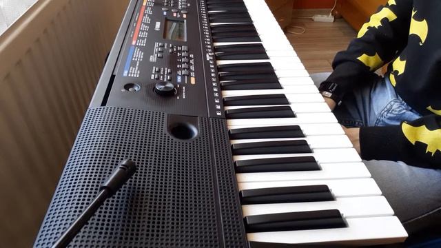 Schnappi das kleine krokodil aranż mp3 + yamaha psr e263 cover смотреть онлайн