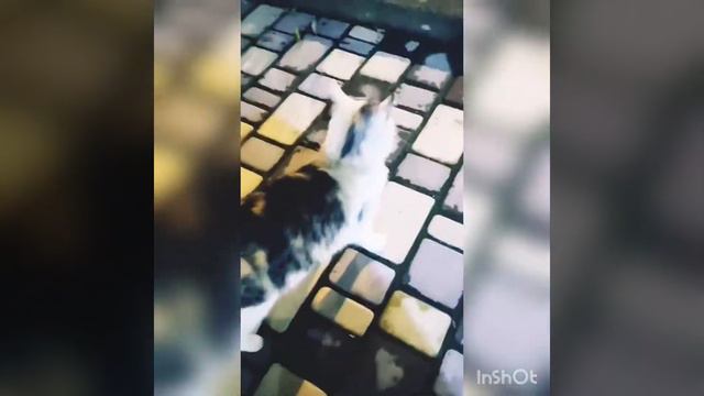 Просто мысли.