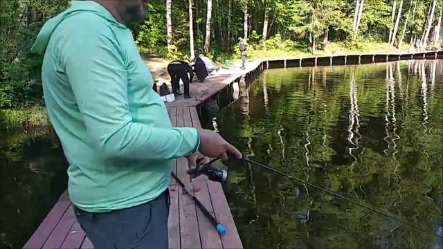 Это не просто клёв - это супер клёв!!! Форелевая рыбалка на спорт зоне. Клёвое место лосиный остров смотреть онлайн