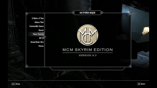 Skyrim S 594 Сумашедшие маги