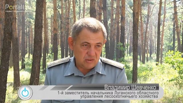 Соревнование на лесопилке смотреть онлайн
