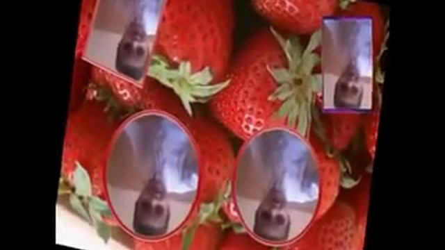 wallah tu mashallah new full song смотреть онлайн