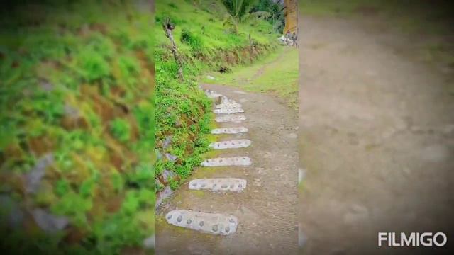 Quick Day tour- Brenas FarmLiliw Laguna support localtourism