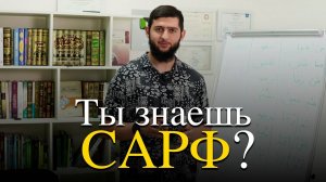 Сможешь ответить на эти вопросы?