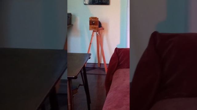Музей-квартира Ахматовой в Фонтанном доме смотреть онлайн