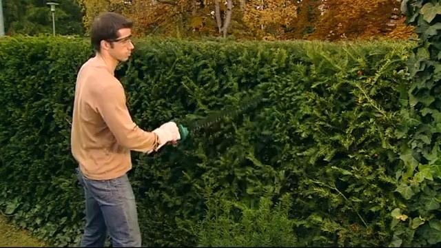 3165140465175 Akkus sövénynyíró AHS 52 LI смотреть онлайн