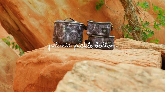 Petunia Pickle Bottom Fall 2022 Collection - Cool Pixel Plus in Stardust Micro Moment смотреть онлайн