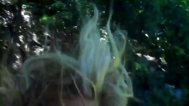 Прыжки в воду со скалы экстрим селфи смотреть онлайн