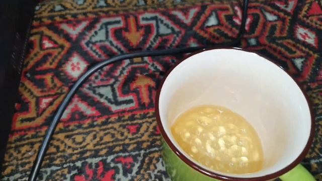 тапки опять разносят дом #рупор #ноэма #саб смотреть онлайн