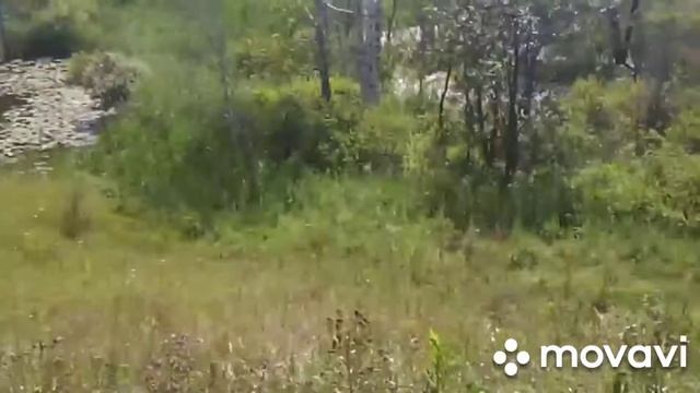 #Староюрьево #Шушпанское водохранилище .Самый замечательный день. Я на море.? смотреть онлайн