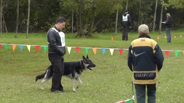 "Путёвка в жизнь" 05.10.2013. смотреть онлайн