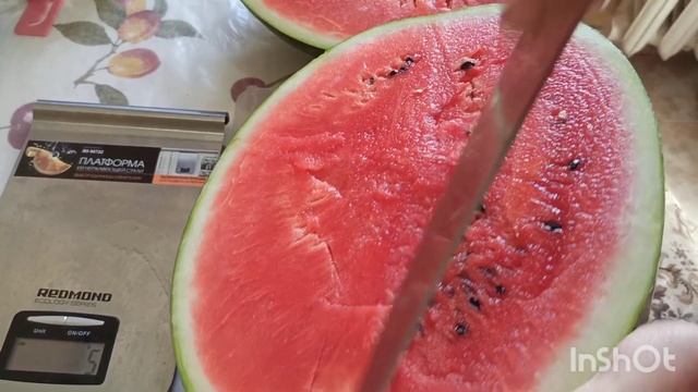 Супер арбуз Мирза привитый на супер подвой Ферро... а если бы все арбузы такими выросли. :