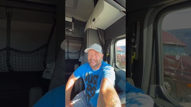 Выбор щенка. Кане корсо. #shorts #жизньвсша #cane #canecorso #щенок #канекорсо смотреть онлайн