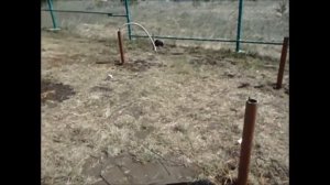 Контейнер с фундаментом на винтовых сваях