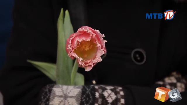 8марта смотреть онлайн
