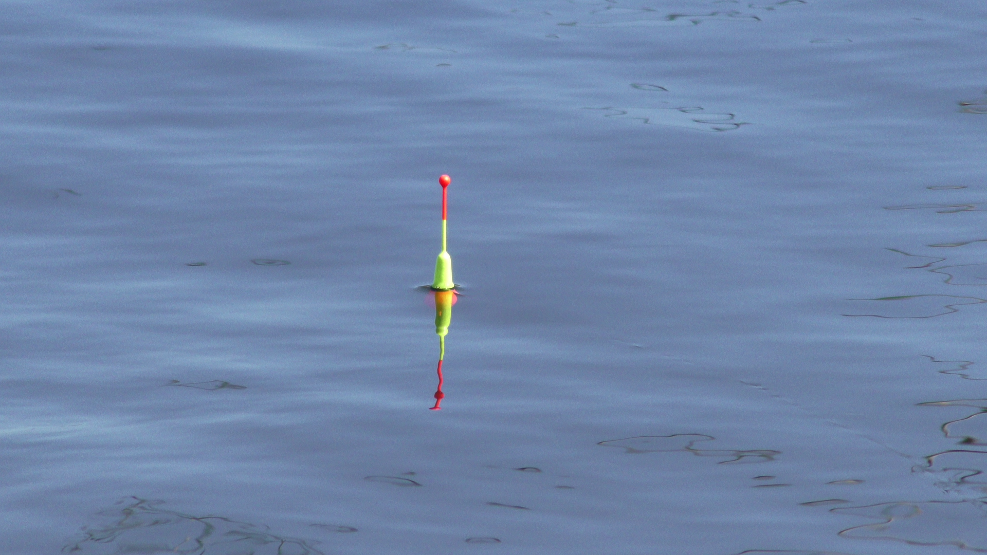 Рыбалка .Закинул поплавок в кусты и подошли пузатые батоны смотреть онлайн