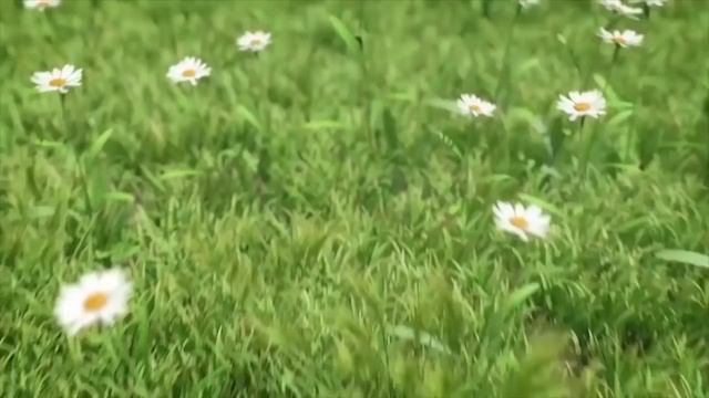 อนิเมะใหม่2023 ค่าชม 1 like Hyakuren no Haou to Seiyaku no Valkyria 1 12 ซับไทย смотреть онлайн