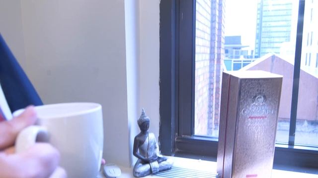 Check Out The Coolest Lawyer's Office in New York City смотреть онлайн