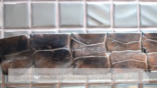 Ремень из кожи крокодила. смотреть онлайн