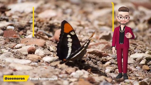 3 безумных причины использовать техники “Симорон” и что это такое на самом деле