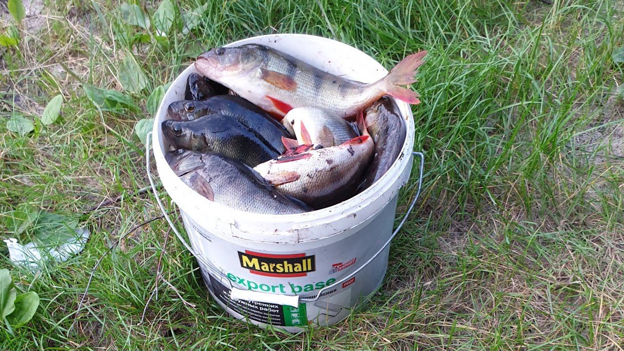 СНАЧАЛА РЫБАЧИЛИ НА СПИННИНГ,А ПОТОМ ВЗЯЛИ ЗИМНИЕ УДОЧКИ И ПОНЕСЛАСЬ.РЫБАЛКА НА РЕКЕ ЕТЫ-ПУР. смотреть онлайн