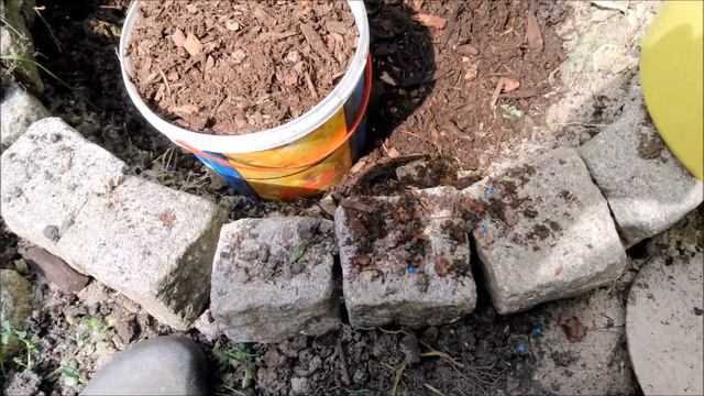 Посадка красной смородины в водонепроходящую (глина) почву. смотреть онлайн