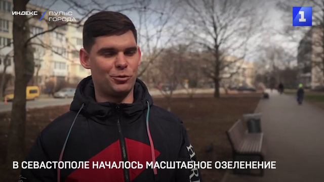В Севастополе началось масштабное озеленение смотреть онлайн