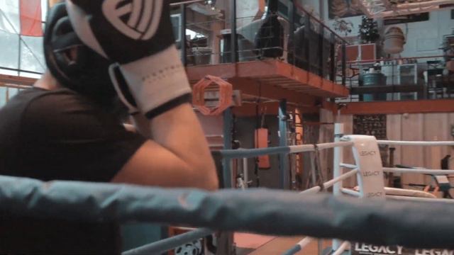Sparring mit Boxtalenten! смотреть онлайн