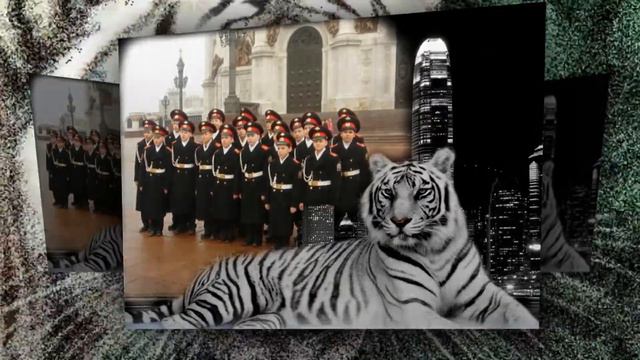 Брату с Днём рождения! смотреть онлайн