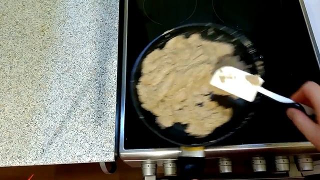 Животные в Зоопарках